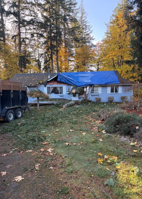 Tree Removal Services Kent WA