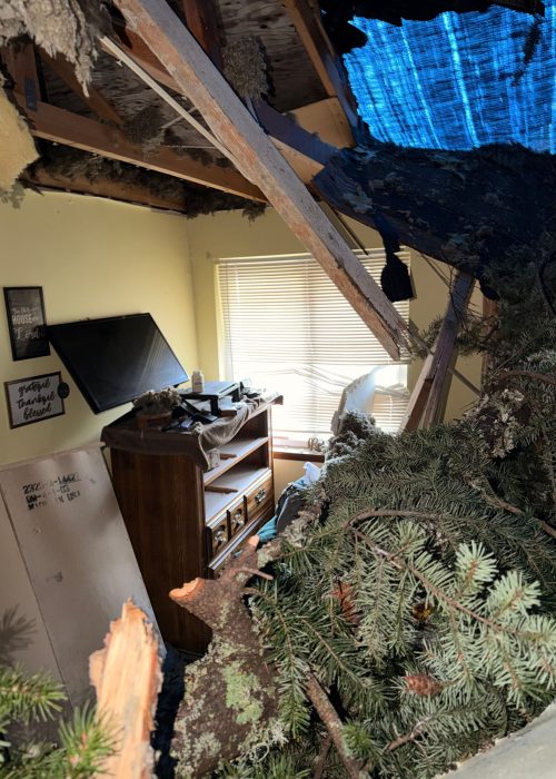 Storm Damage Tree Removal Kent WA