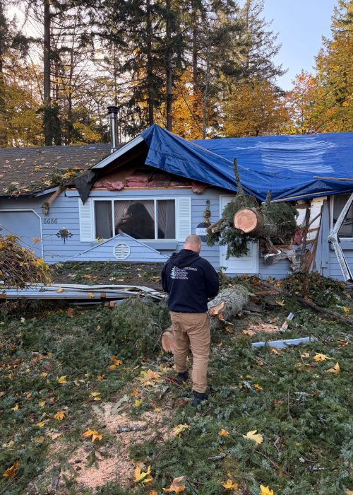 Storm Tree Removal Kent WA